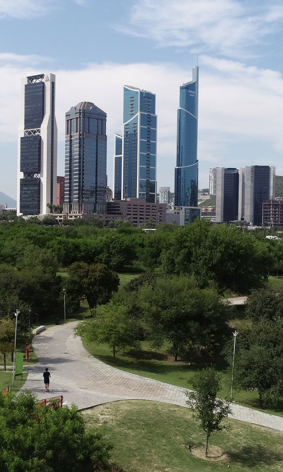 renta de departamentos y oficinas en san pedro